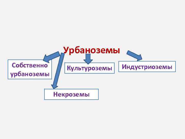 Урбаноземы Собственно урбаноземы Культуроземы Некроземы Индустриоземы 