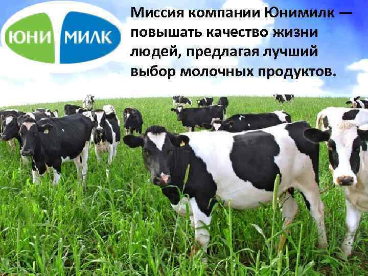Миссия компании Юнимилк — повышать качество жизни людей, предлагая лучший выбор молочных продуктов. 