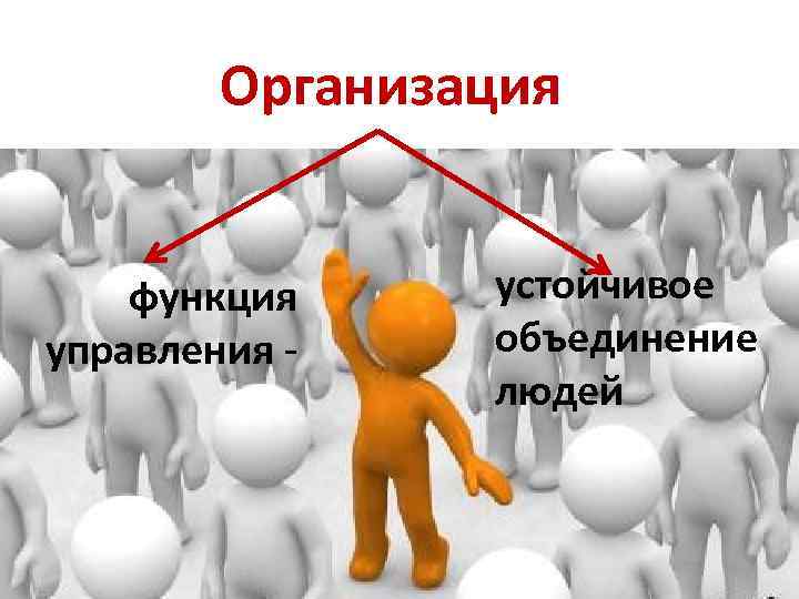 Организация функция управления - устойчивое объединение людей 