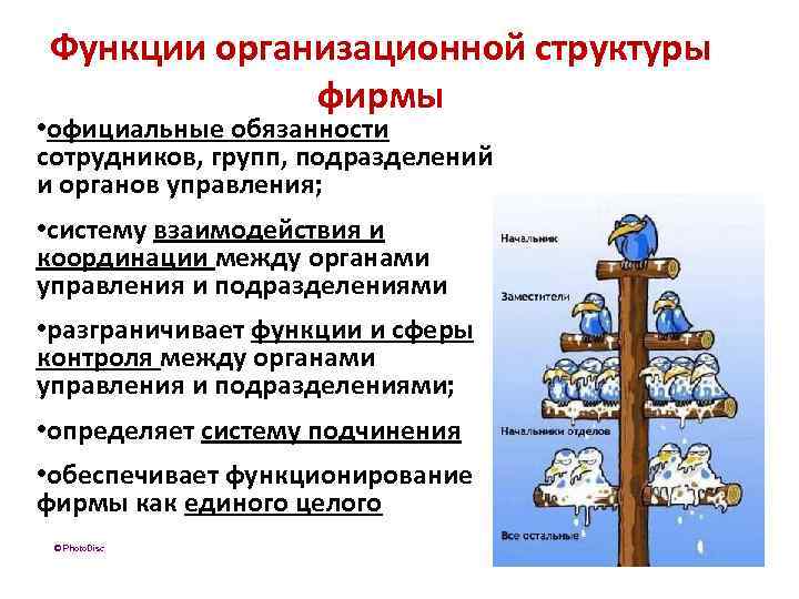 Функции организационной структуры фирмы • официальные обязанности сотрудников, групп, подразделений и органов управления; •
