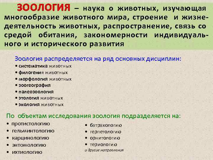 Зоология изучает. Науки о животных. Разделы наук о животных. Наука изучающая строение животных. Название наук изучающих животных.