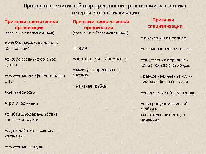 Признаки примитивной и прогрессивной организации ланцетника и черты его специализации Признаки примитивной организации (сравнение