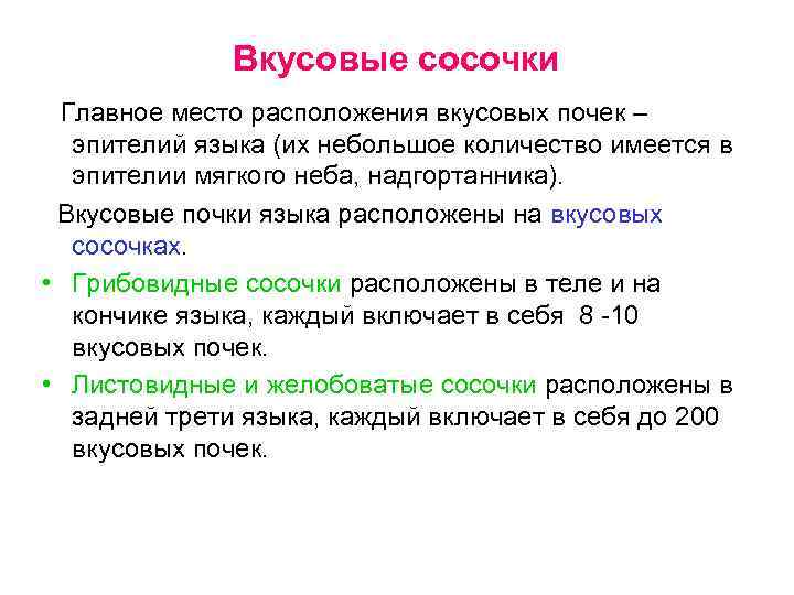 Вкусовые сосочки Главное место расположения вкусовых почек – эпителий языка (их небольшое количество имеется