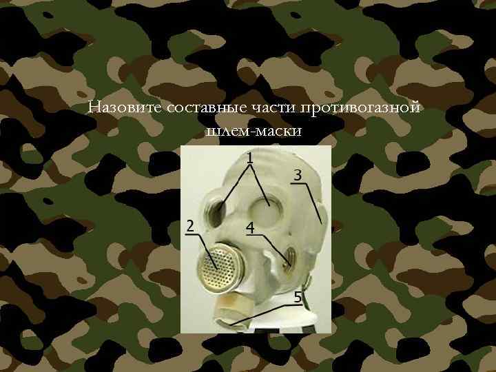 Назовите составные части противогазной шлем-маски 