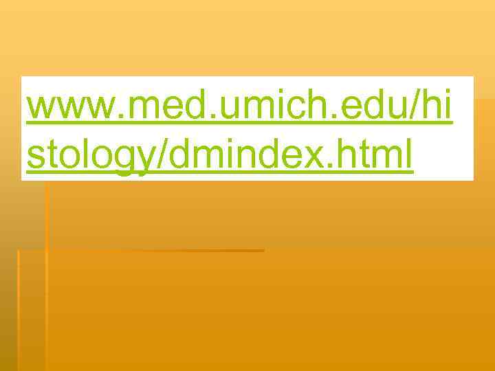 www. med. umich. edu/hi stology/dmindex. html 