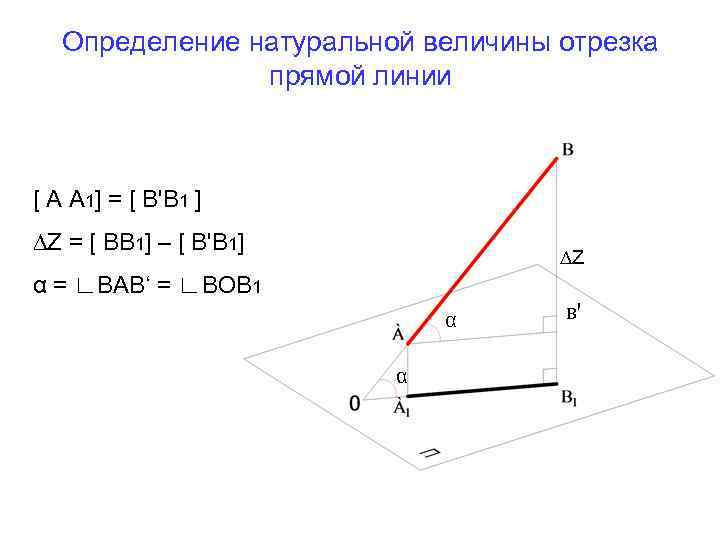 Определение натуральной величины отрезка прямой линии [ А А 1] = [ В'В 1