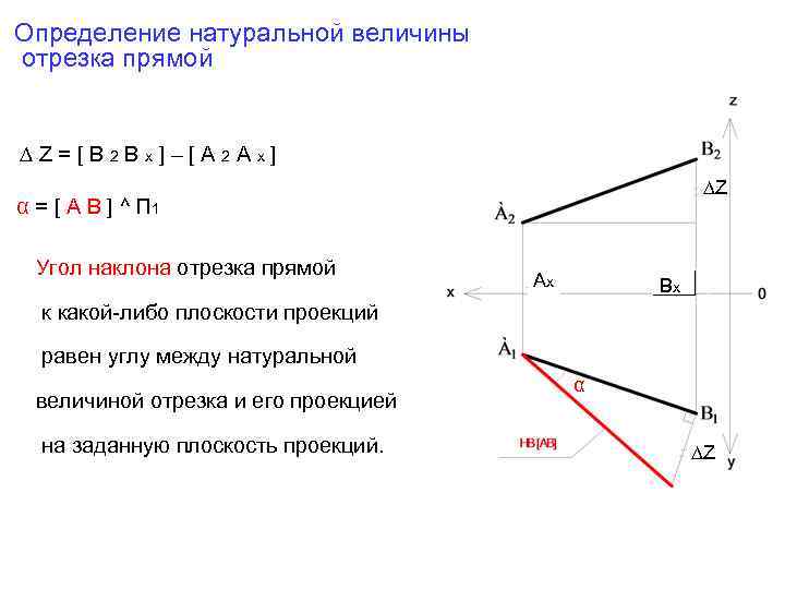 Натуральная величина размера