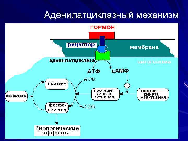 Уровни вещества