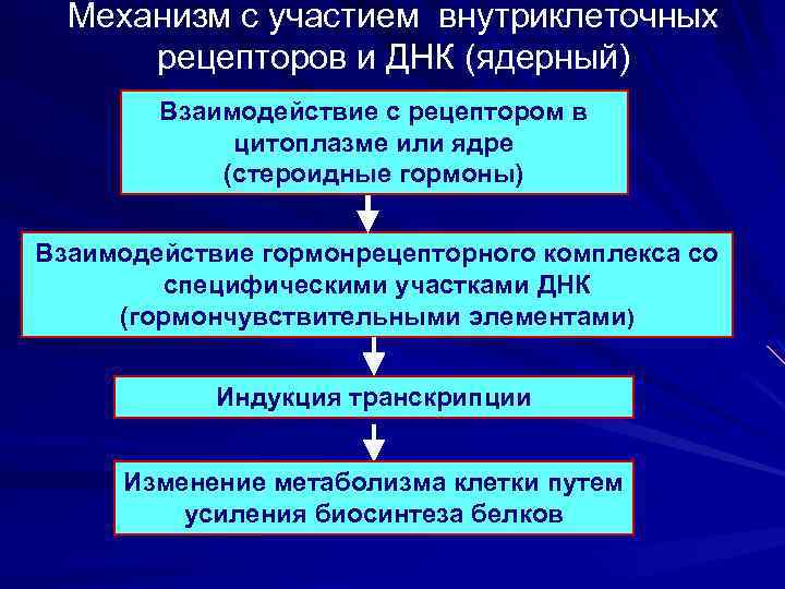 Механизм с участием внутриклеточных рецепторов и ДНК (ядерный) Взаимодействие с рецептором в цитоплазме или