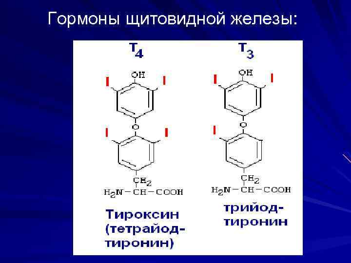 Гормоны щитовидной железы: 