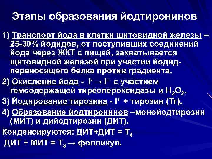 Этапы образования йодтиронинов 1) Транспорт йода в клетки щитовидной железы – 25 -30% йодидов,