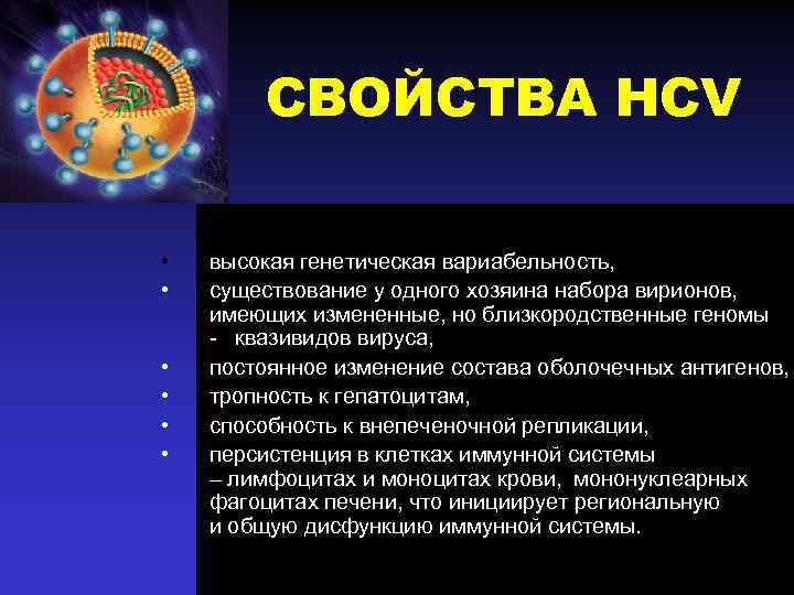 СВОЙСТВА HCV • • • высокая генетическая вариабельность, существование у одного хозяина набора вирионов,