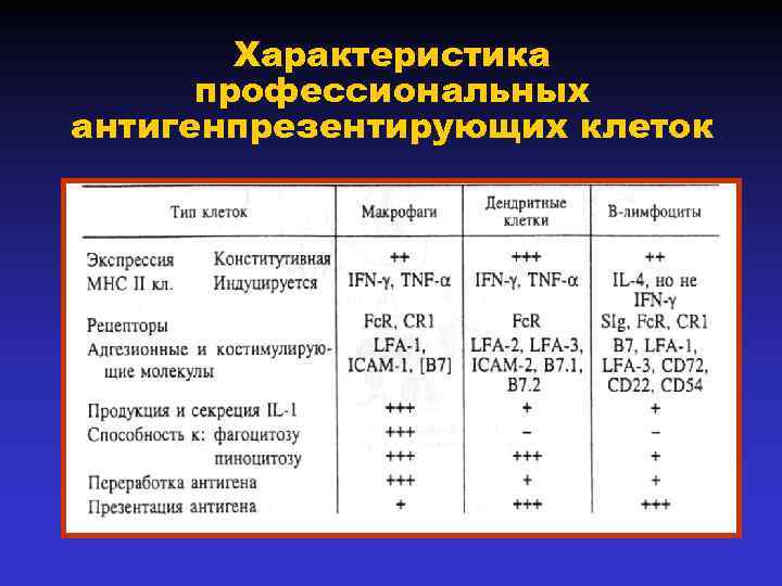 Характеристика профессиональных антигенпрезентирующих клеток 