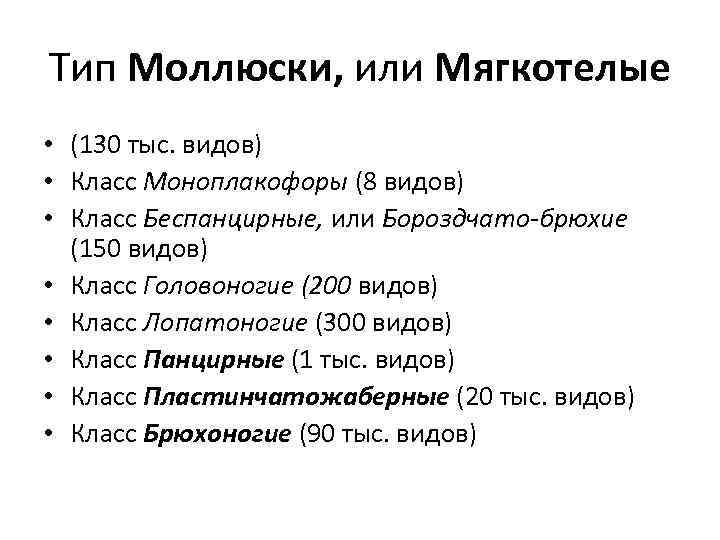 Тип Моллюски, или Мягкотелые • (130 тыс. видов) • Класс Моноплакофоры (8 видов) •