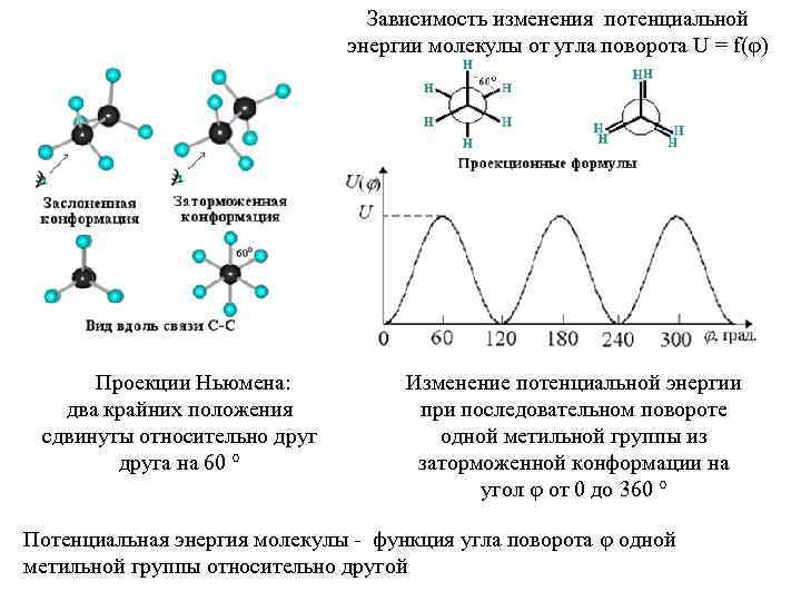 Потенциальная энергия взаимодействия молекул