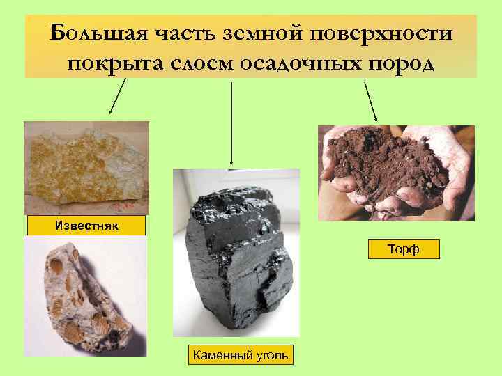 Большая часть земной поверхности покрыта слоем осадочных пород Известняк Торф Каменный уголь 