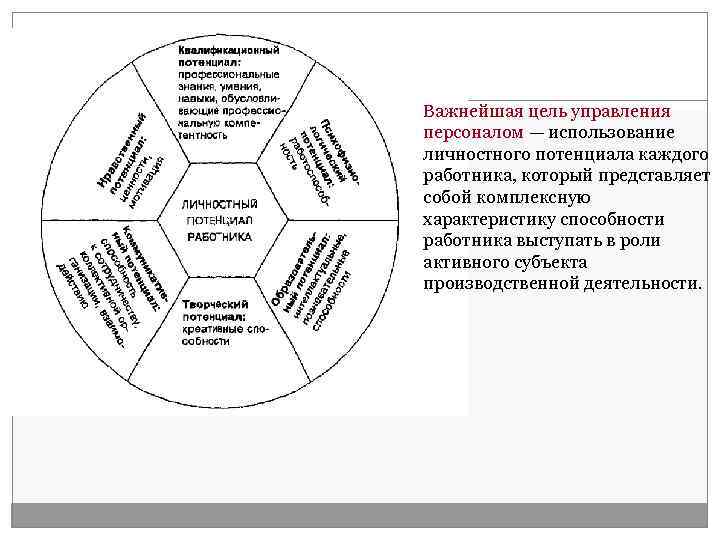 Важнейшая цель управления персоналом — использование личностного потенциала каждого работника, который представляет собой комплексную