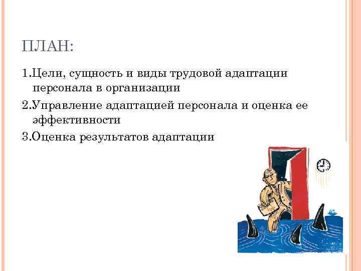 ПЛАН: 1. Цели, сущность и виды трудовой адаптации персонала в организации 2. Управление адаптацией