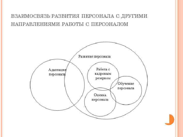 ВЗАИМОСВЯЗЬ РАЗВИТИЯ ПЕРСОНАЛА С ДРУГИМИ НАПРАВЛЕНИЯМИ РАБОТЫ С ПЕРСОНАЛОМ 