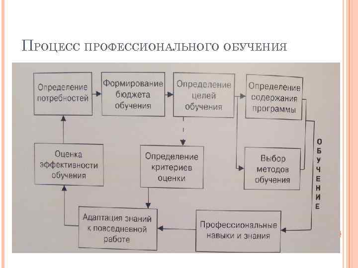 ПРОЦЕСС ПРОФЕССИОНАЛЬНОГО ОБУЧЕНИЯ 