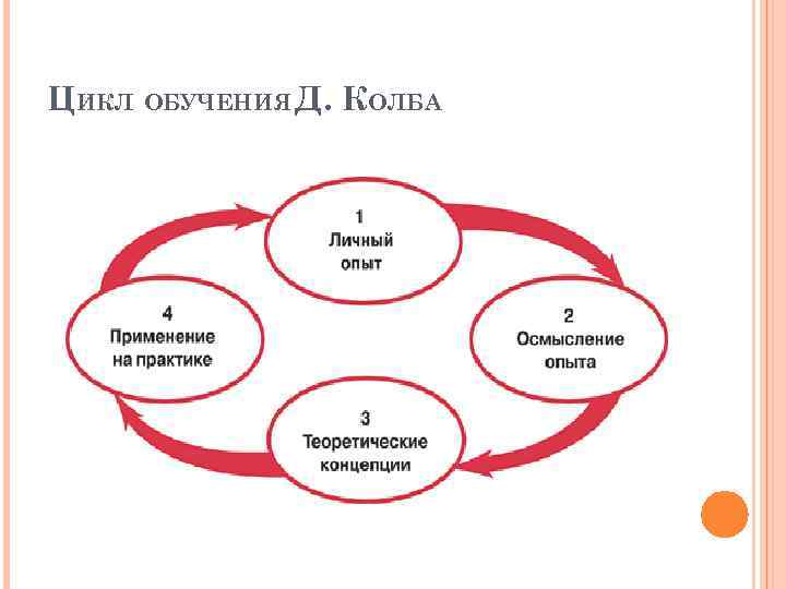 ЦИКЛ ОБУЧЕНИЯ Д. КОЛБА 