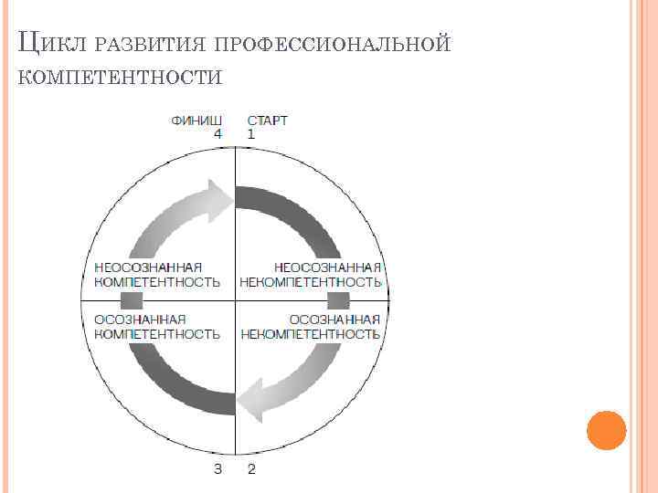 ЦИКЛ РАЗВИТИЯ ПРОФЕССИОНАЛЬНОЙ КОМПЕТЕНТНОСТИ 