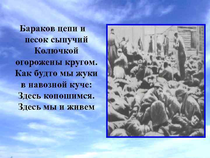Бараков цепи и песок сыпучий Колючкой огорожены кругом. Как будто мы жуки в навозной