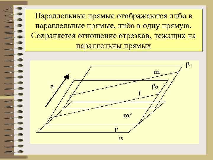 Отрезки лежащие на параллельных прямых