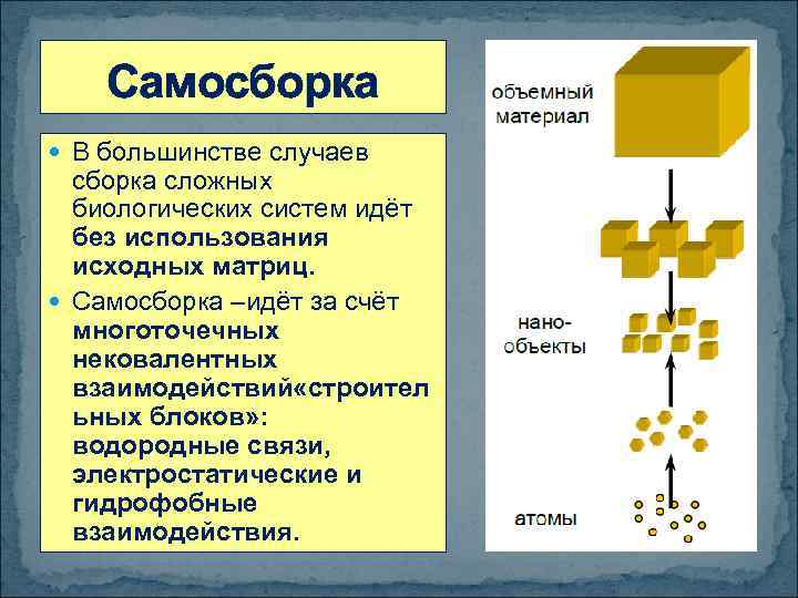 Самосборка В большинстве случаев сборка сложных биологических систем идёт без использования исходных матриц. Самосборка