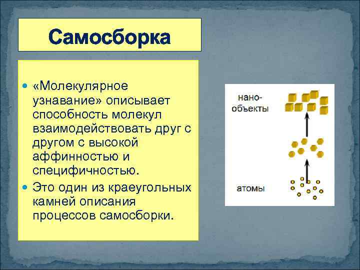 Самосборка «Молекулярное узнавание» описывает способность молекул взаимодействовать друг с другом с высокой аффинностью и