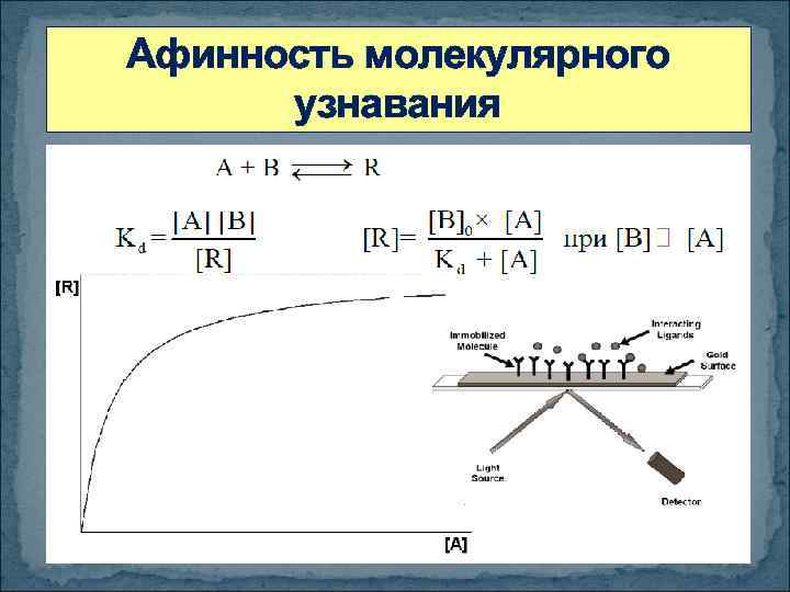 Афинность молекулярного узнавания 