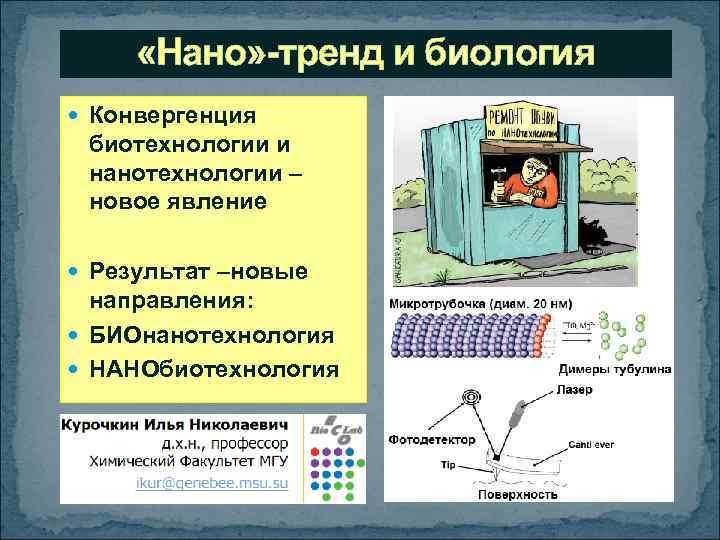  «Нано» -тренд и биология Конвергенция биотехнологии и нанотехнологии – новое явление Результат –новые