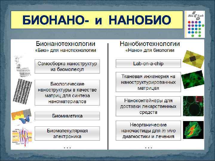 БИОНАНО- и НАНОБИО 