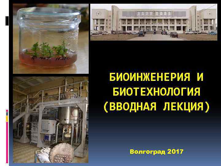 БИОИНЖЕНЕРИЯ И БИОТЕХНОЛОГИЯ (ВВОДНАЯ ЛЕКЦИЯ) ЛЕКЦИЯ Волгоград 2017 