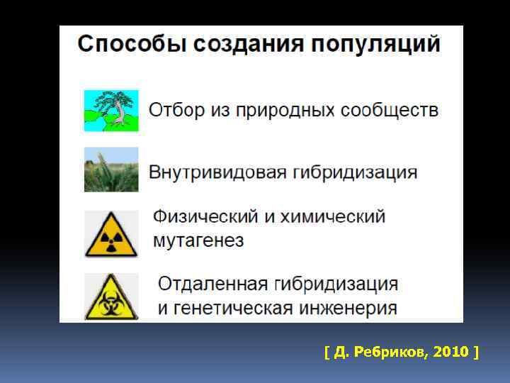 [ Д. Ребриков, 2010 ] 