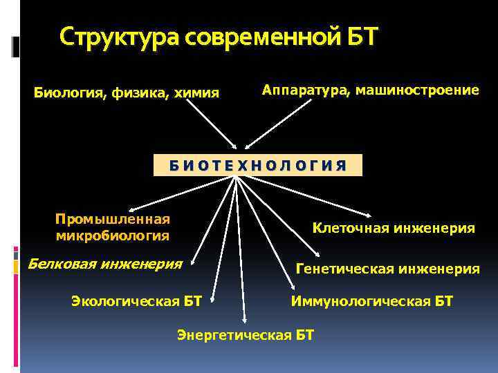 Физика и биология презентация