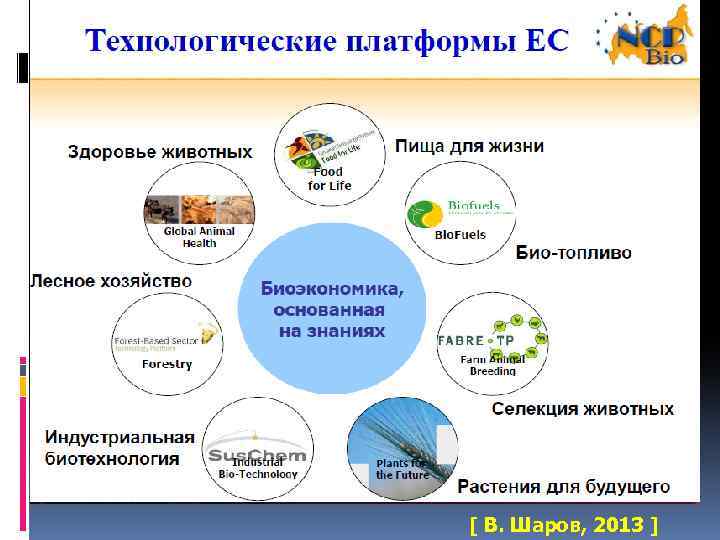 [ В. Шаров, 2013 ] 