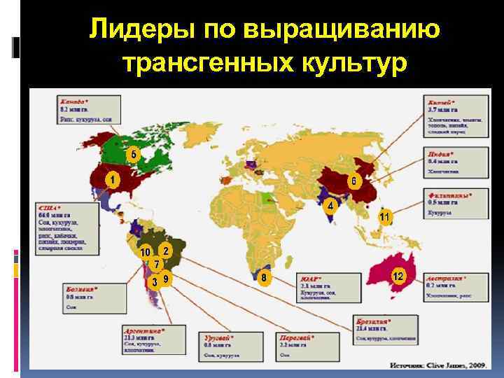 Лидеры по выращиванию трансгенных культур 