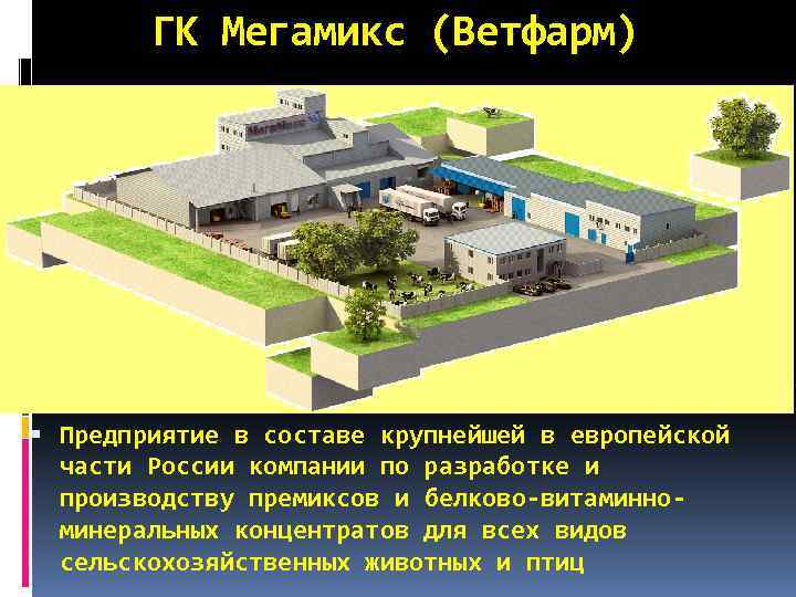 ГК Мегамикс (Ветфарм) Предприятие в составе крупнейшей в европейской части России компании по разработке