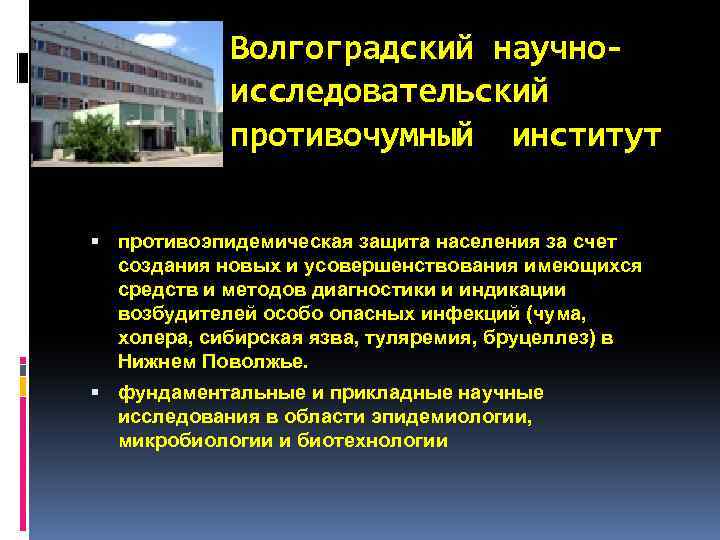 Волгоградский научноисследовательский противочумный институт противоэпидемическая защита населения за счет создания новых и усовершенствования имеющихся