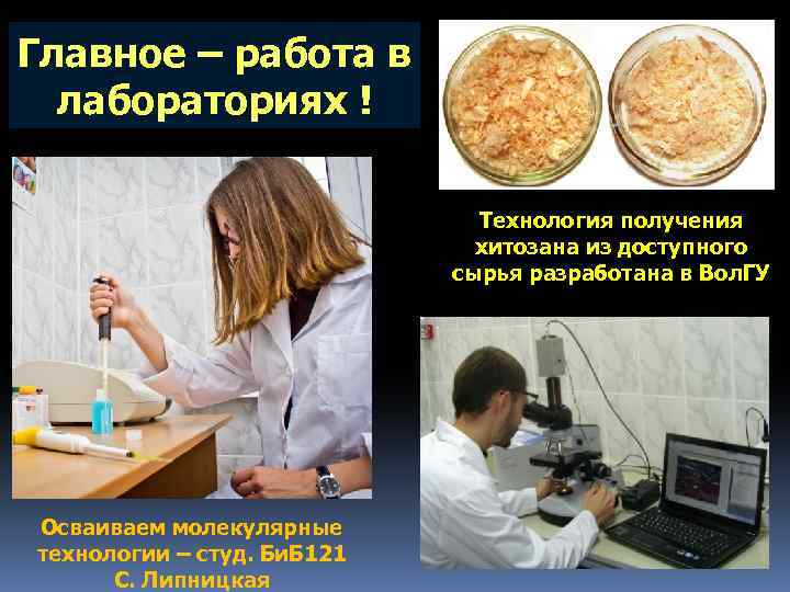 Главное – работа в лабораториях ! Технология получения хитозана из доступного сырья разработана в