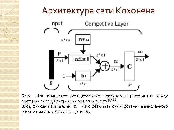 Архитектура сети Кохонена Блок ndist вычисляет отрицательные евклидовые расстояния между вектором входа и строками