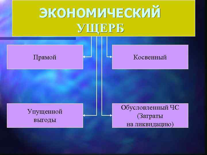 ЭКОНОМИЧЕСКИЙ УЩЕРБ Прямой Косвенный Упущенной выгоды Обусловленный ЧС (Затраты на ликвидацию) 