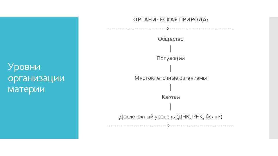 ОРГАНИЧЕСКАЯ ПРИРОДА: ----------------? -----------------Общество │ Уровни организации материи Популяции │ Многоклеточные организмы │ Клетки
