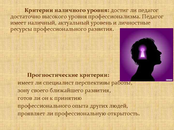 Критерии наличного уровня: достиг ли педагог достаточно высокого уровня профессионализма. Педагог имеет наличный, актуальный