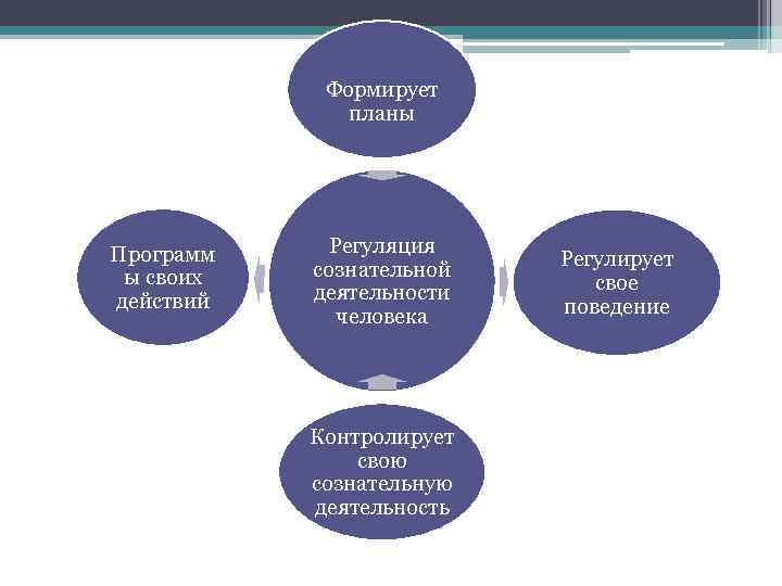 Формирует планы Программ ы своих действий Регуляция сознательной деятельности человека Контролирует свою сознательную деятельность