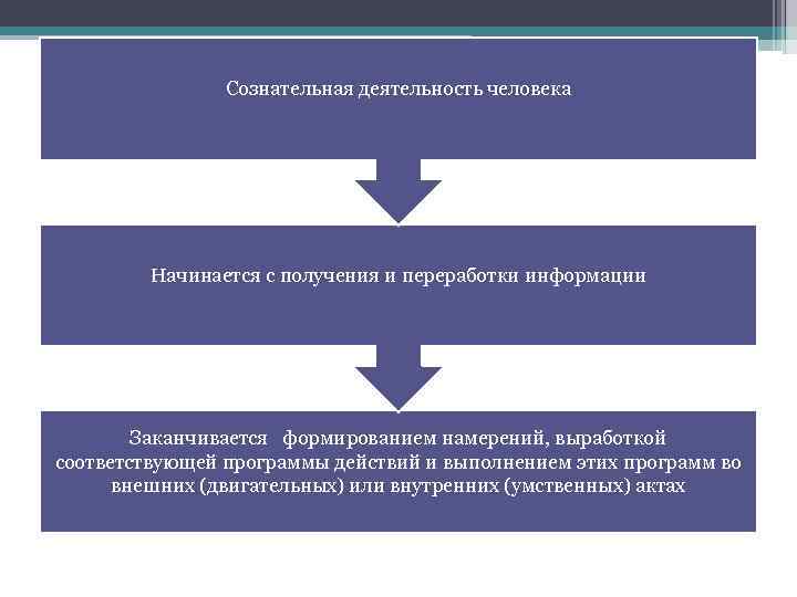 Сознательная деятельность человека Начинается с получения и переработки информации Заканчивается формированием намерений, выработкой соответствующей