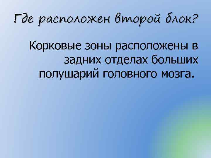 Где расположен второй блок? Корковые зоны расположены в задних отделах больших полушарий головного мозга.