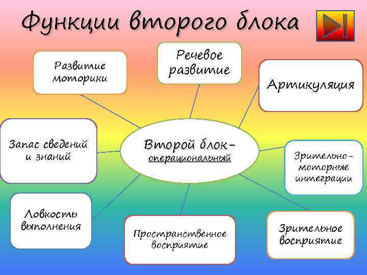 Функции второго блока Развитие моторики Запас сведений и знаний Ловкость выполнения Речевое развитие Второй