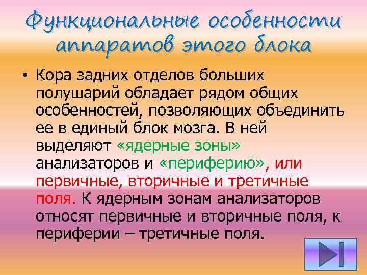 Функциональные особенности аппаратов этого блока • Кора задних отделов больших полушарий обладает рядом общих